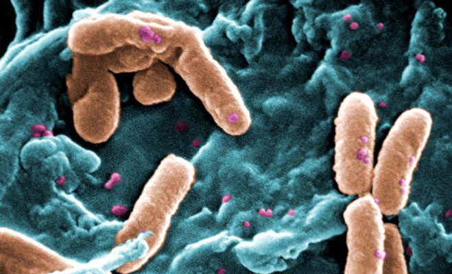 Bakterie odporne na antybiotyki są groźniejsze niż myśleliśmy. Medycyna ma poważny problem