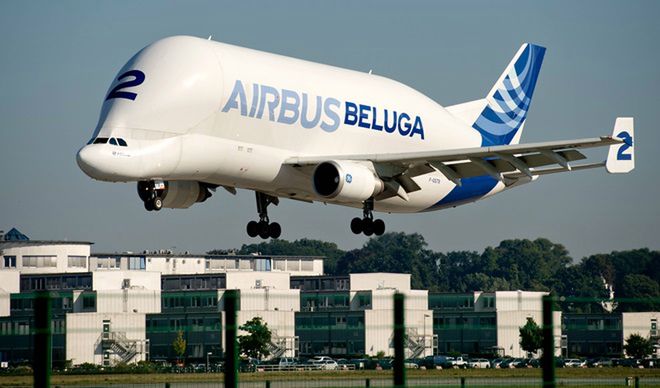 Podniebny gigant jeszcze większy. Nowa odsłona Airbusa Beluga