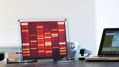 DNA Mini, portret bardzo osobisty 1