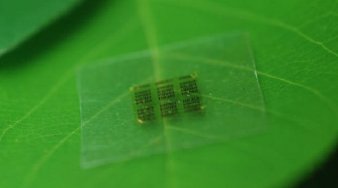 Elektronika noszona wejdzie nam w krew