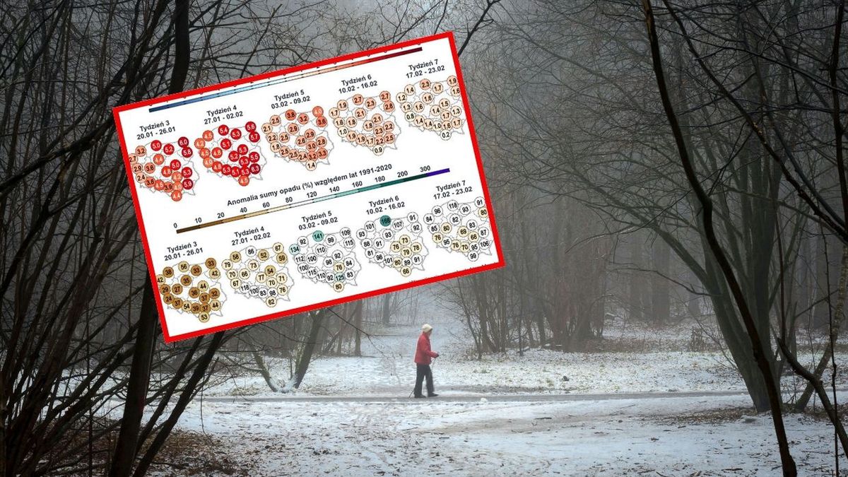 zdjęcie ilustracyjne