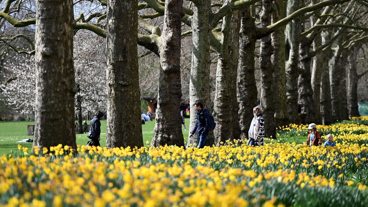 Wiosna zawładnie pogodą