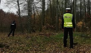 Zwłoki kobiety na obrzeżach Gostynia. Wiadomo, co spowodowało zgon