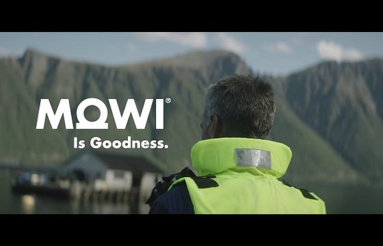 MOWI w gronie klientów Mediaplus