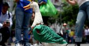 Kaczka Merlin podbija mundial. Z ulic Meksyku trafiła do roli maskotki
