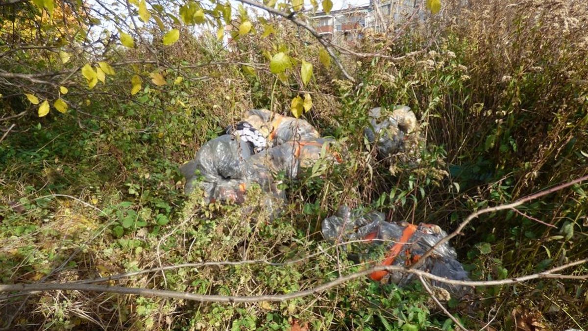 Właściciel podrzuconych odpadów przy ul. Willowej został ukarany. 