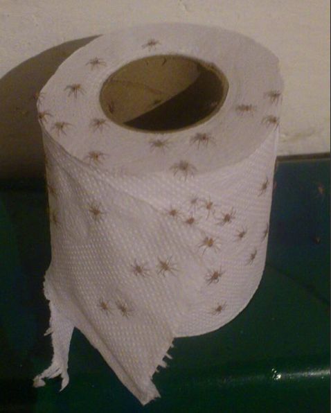Przeklęte zdjęcia.