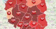 Koronawirus w Polsce. Już 700 ofiar śmiertelnych. Ponad 250 tys. zgonów na świecie [Mapa]
