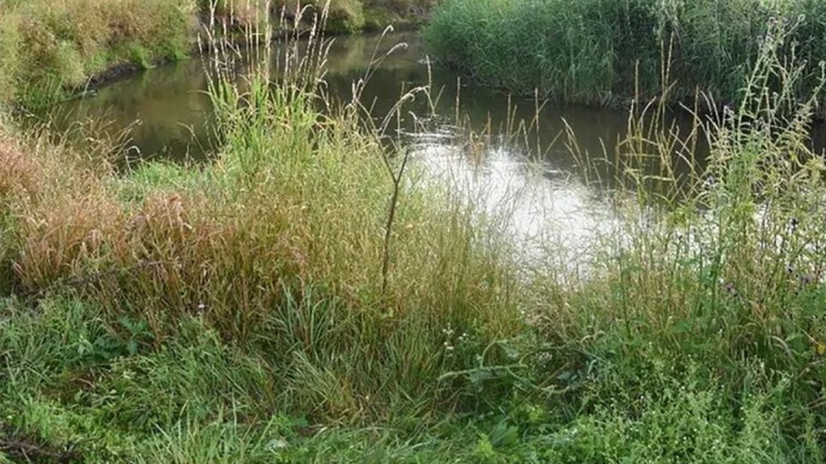 Tragedia na Lubelszczyźnie. Mężczyzna utopił się w rzece Wieprz