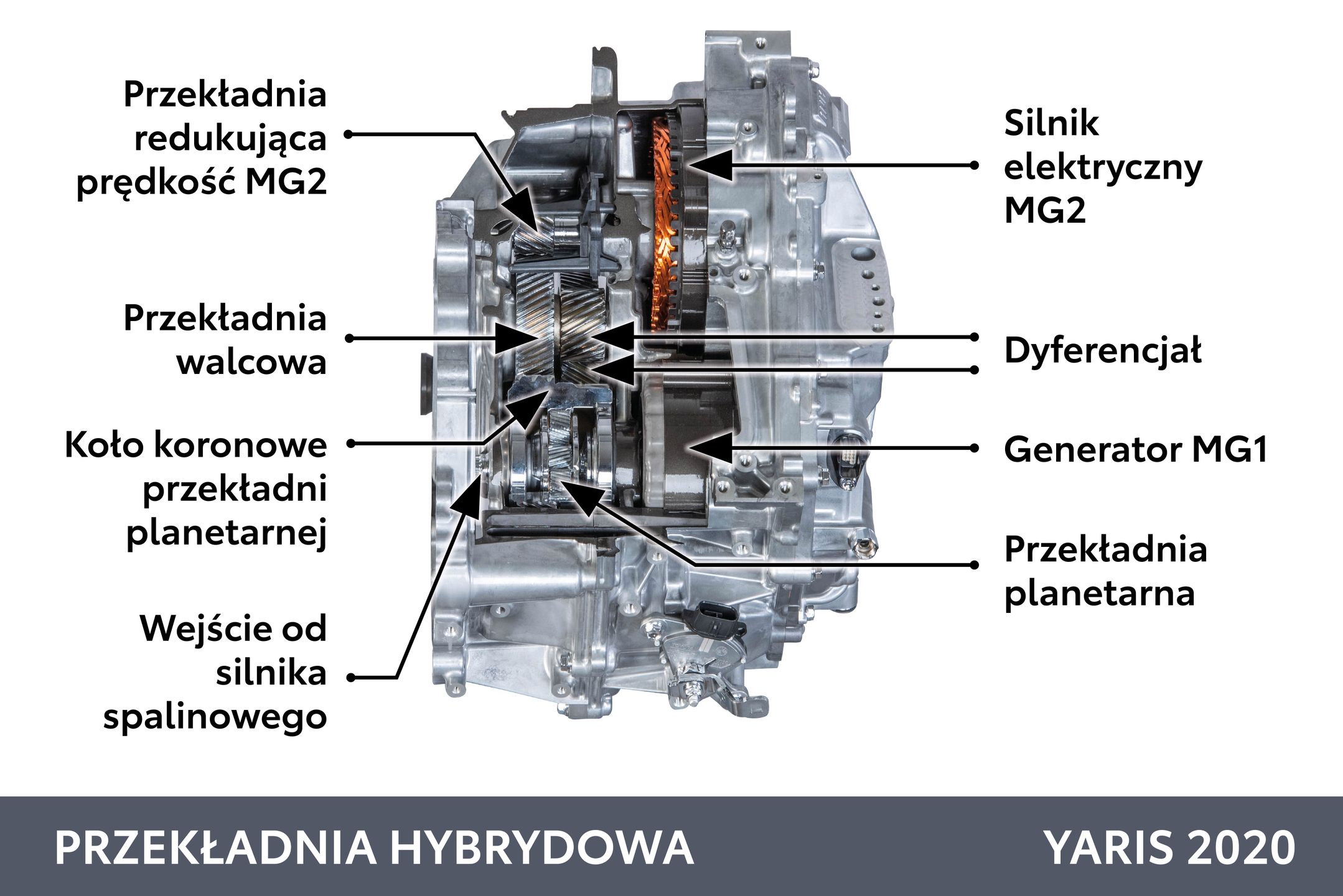 Zdjęcie ilustracyjne do artykułu