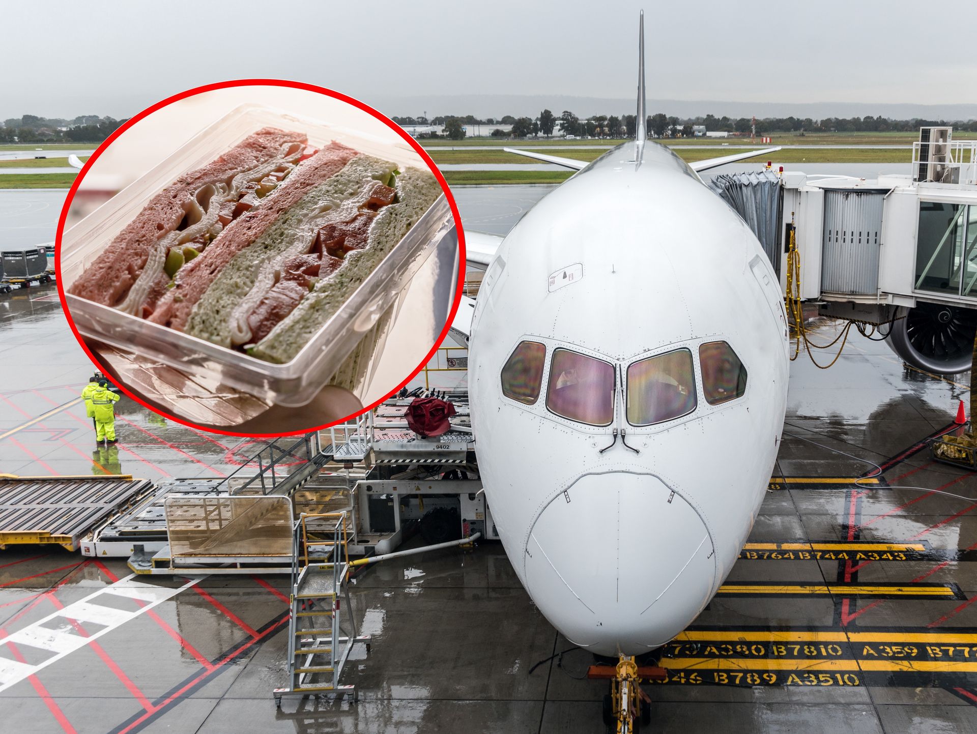 She bought a sandwich at the airport.  She didn’t eat it on the plane and had to pay 8.5k.  Fine Polish zloty – o2
