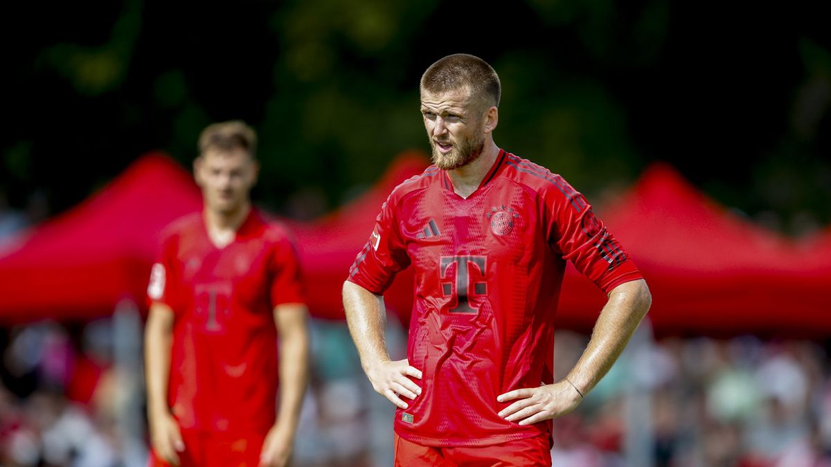 Zdjęcie okładkowe artykułu: Getty Images / ANP / Na zdjęciu: Eric Dier