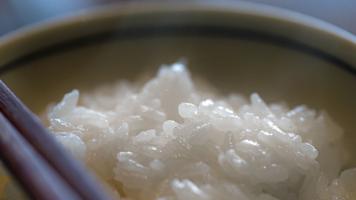 RiceFood, Rice ball,Izumi T