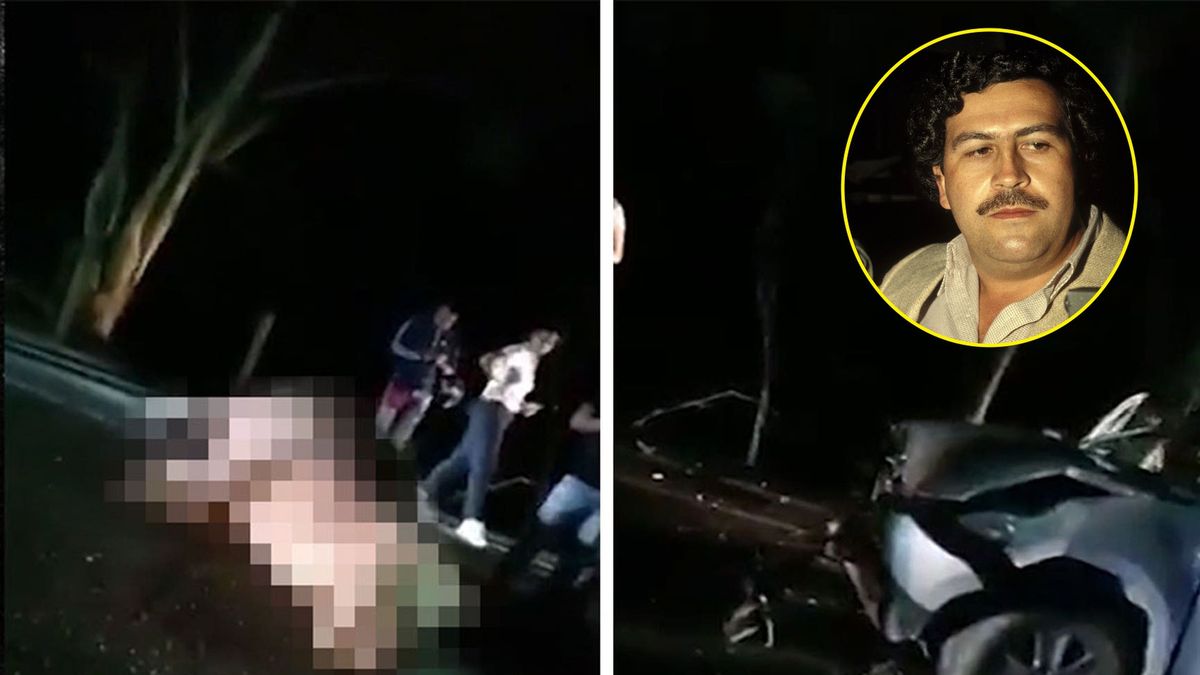 Hipopotam Pablo Escobara zginął w wypadku 