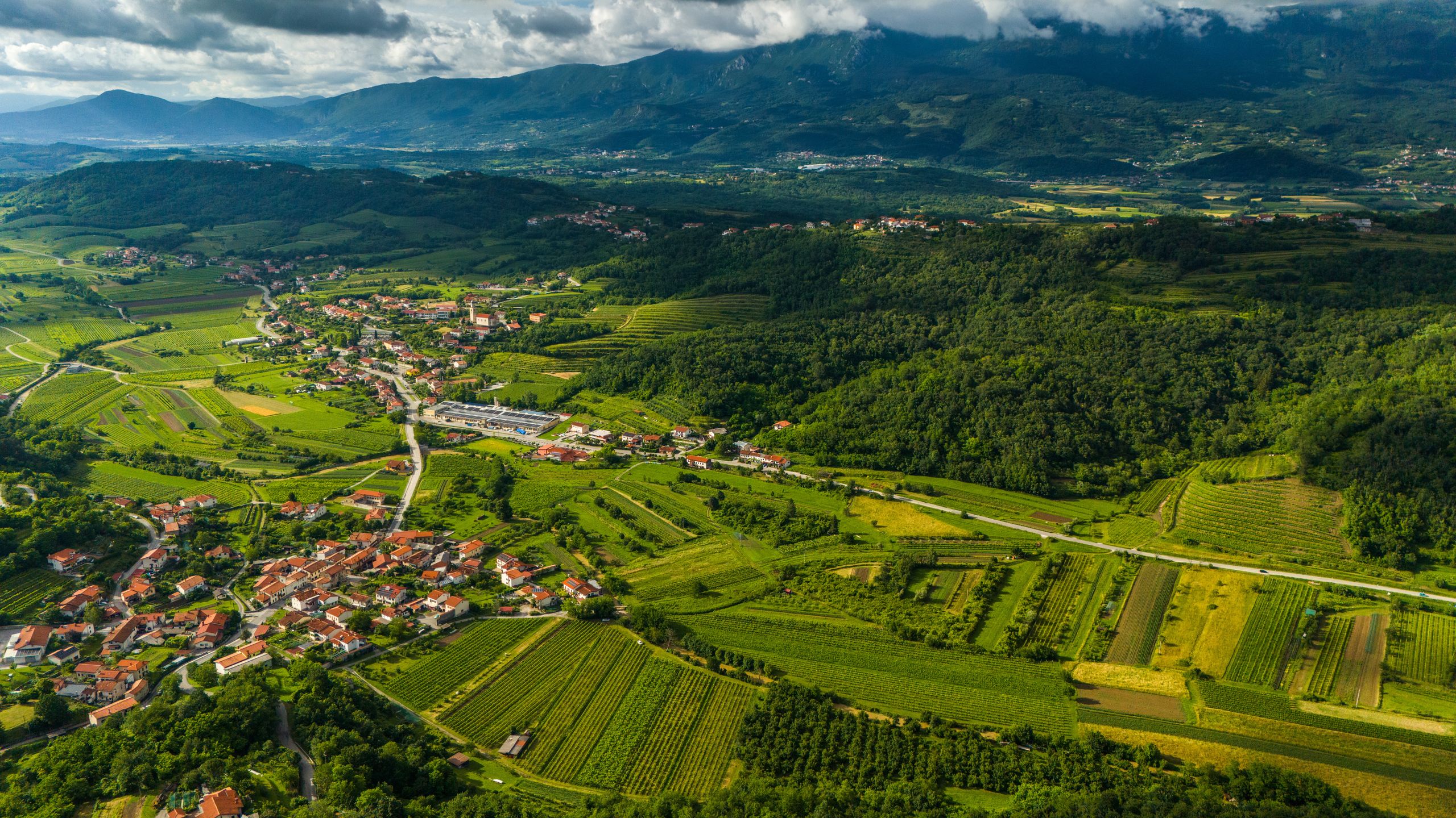 Dolina Vipavska z lotu ptaka