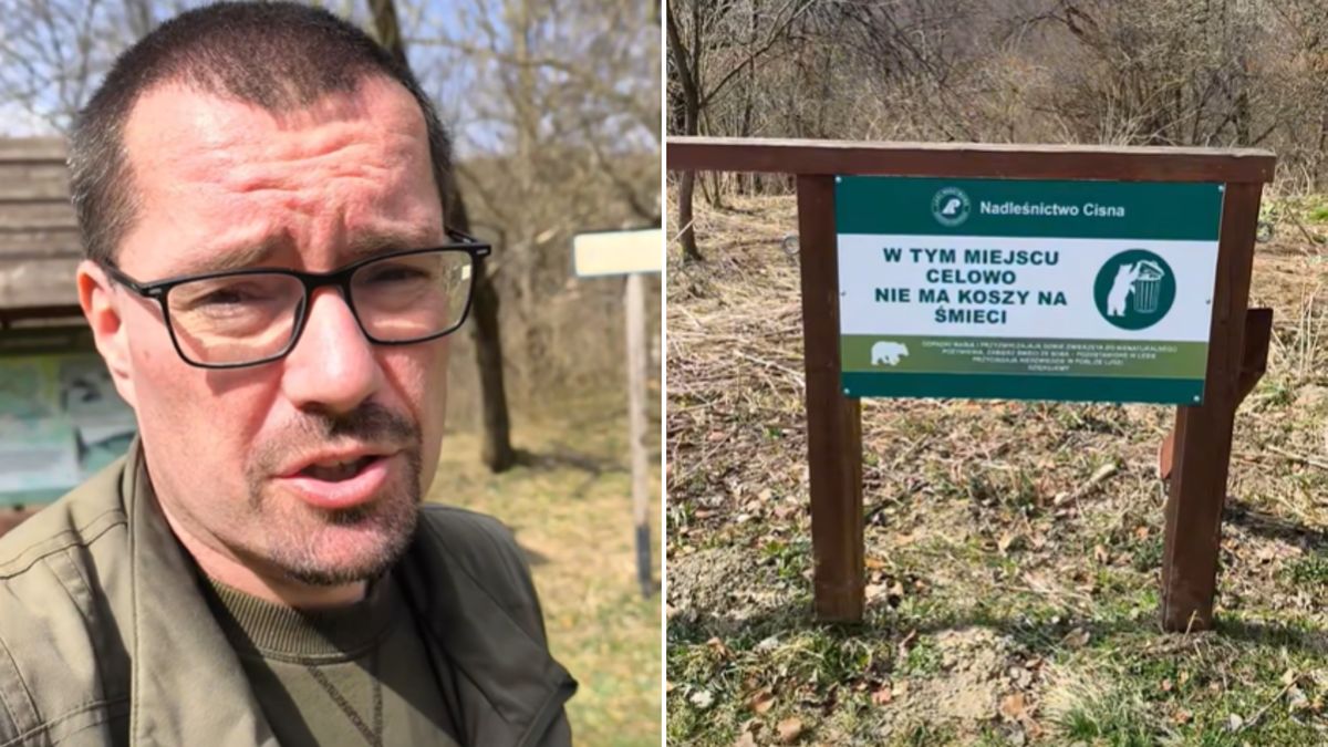 Kosze zniknęły. Leśnik wyjaśnia, skąd taka decyzja.