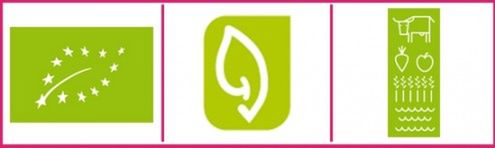 Zagłosuj na ekologiczne logo Unii