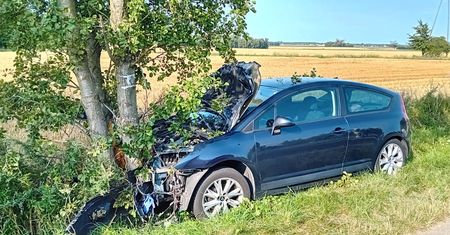 Kolizja z sarną spowodowało, że kierowca uderzył w drzewo!