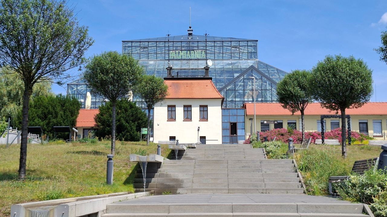 Palmiarnia w Zielonej Górze. Egzotyczny świat pod kopułą