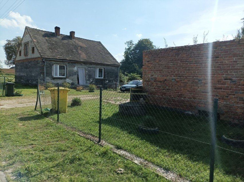 Zabójstwo noworodków w Czernikach