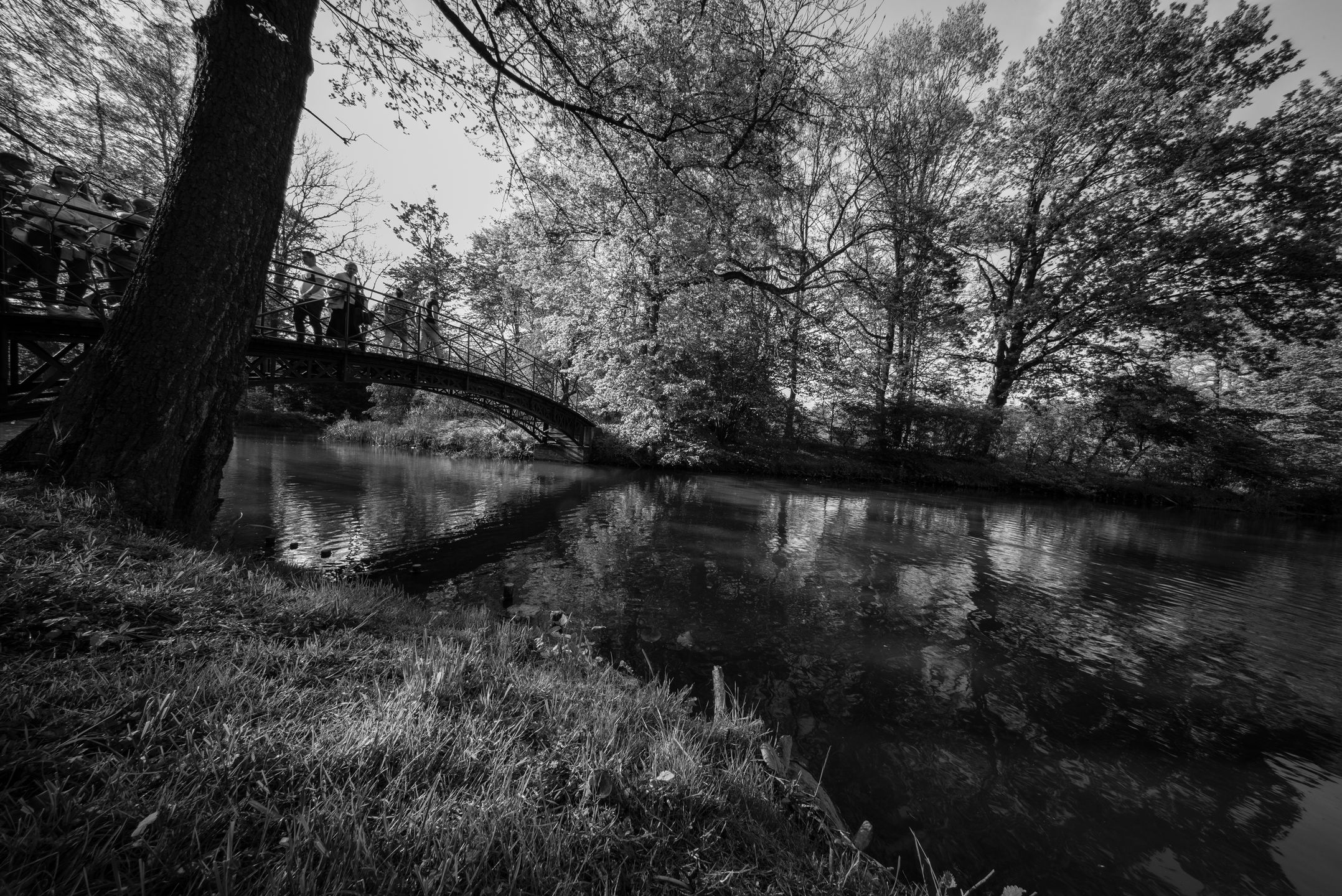 Voigtlander 10 mm f/5.6 Hyper Wide Heliar Aspherical - test spektakularnego hiperobiektywu 27