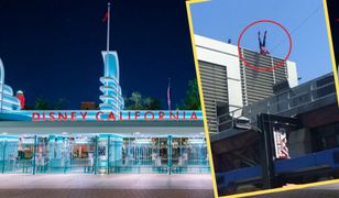 Spiderman rozbił się o budynek w Disney Parku. Wideo stało się viralem