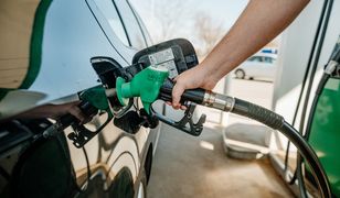 Co dalej z cenami paliw? Są najnowsze prognozy