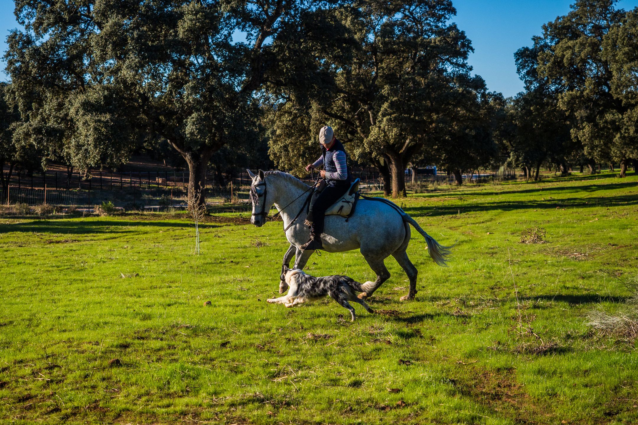Olympus OM-D E-M1 Mark II - najszybszy na rynku [test] 46