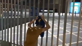 Transfery. Kibice FC Barcelona zrozpaczeni decyzją Lionela Messiego. Ten filmik robi furorę w sieci (wideo)