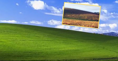 Była ikoną Windowsa. Tak dziś wygląda najsłynniejsza łąka na świecie