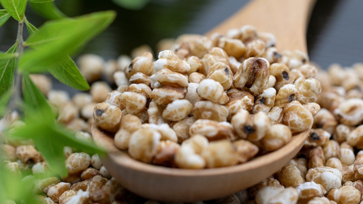 Łzy Hioba uprawiane są w celach spożywczych oraz na koraliki