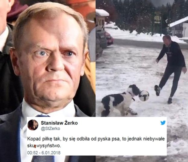 Prawicowi publicyści o Tusku, który MIAŁ UDERZYĆ PSA swojej córki: "Niebywałe sku*wysyństwo!"