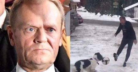 Prawicowi publicyści o Tusku, który MIAŁ UDERZYĆ PSA swojej córki: "Niebywałe sku*wysyństwo!"
