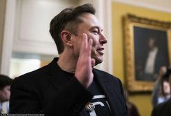 Musk odpowiada Sikorskiemu. "Siedź cicho, mały człowieku"