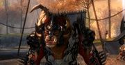 Guild Wars 2 wygląda znakomicie [wideo]