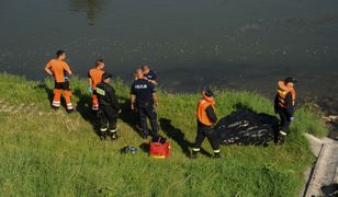 Poszli na spacer. Znaleźli zwłoki w Wiśle