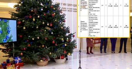 Choinki z Polski w Rosji. Stanęły w budynku Parlamentu