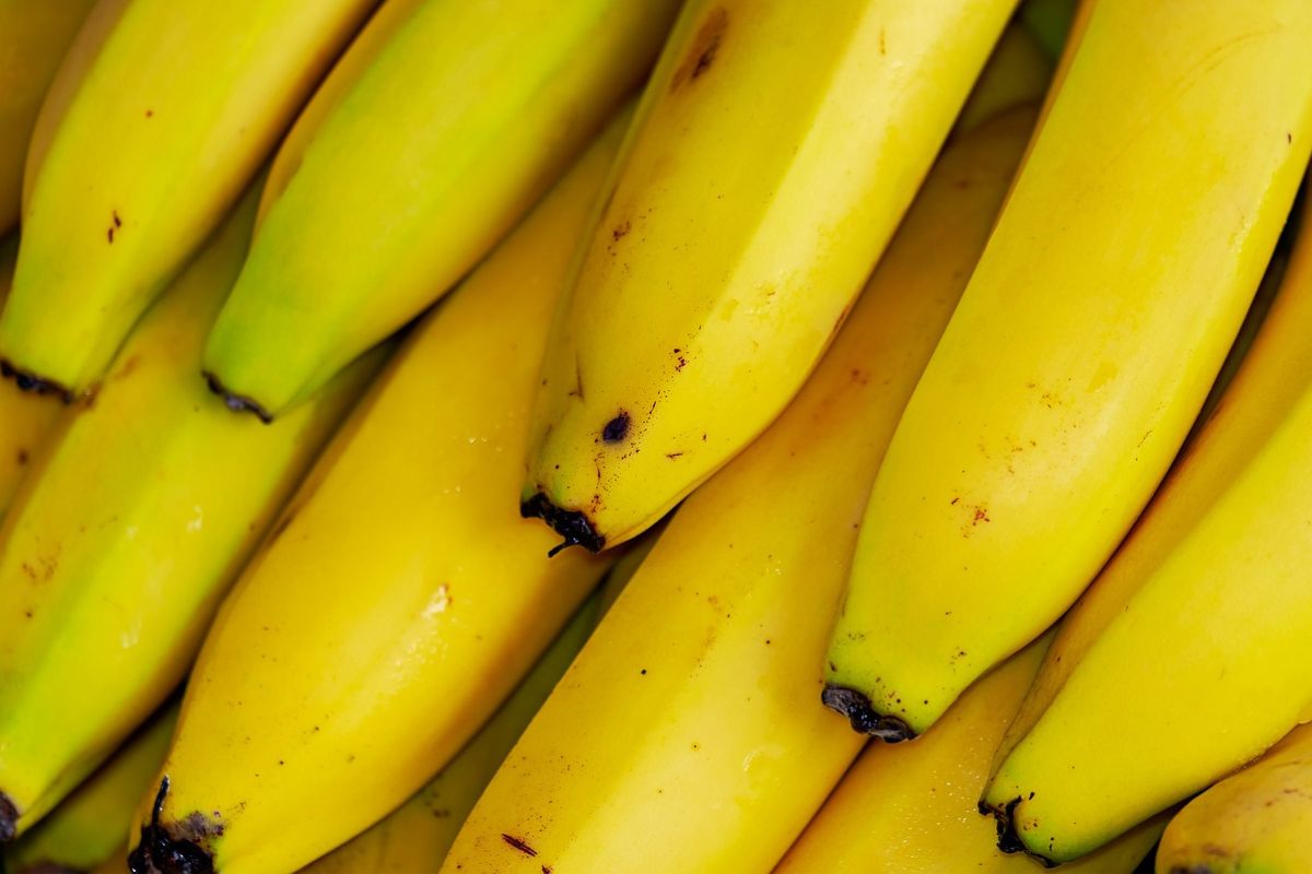 Czy można jeść banany zimą?