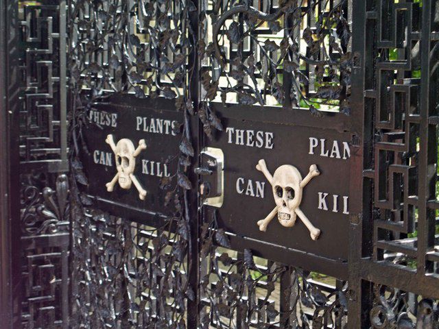 Na bramie znajduje się tablica ostrzegawcza z napisem: "Te rośliny mogą cię zabić" 
