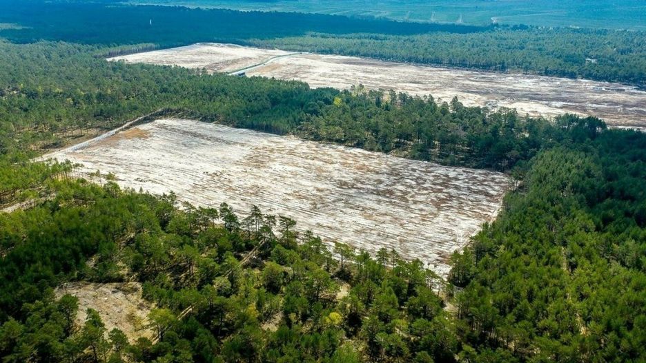 PEJ podpisały umowę z Elektrotimem
