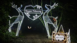 Poznań: Lumina Park 2025 w nowej odsłonie. Spektakularna atrakcja znów przyciągnie tłumy. Oto ceny biletów i lista atrakcji