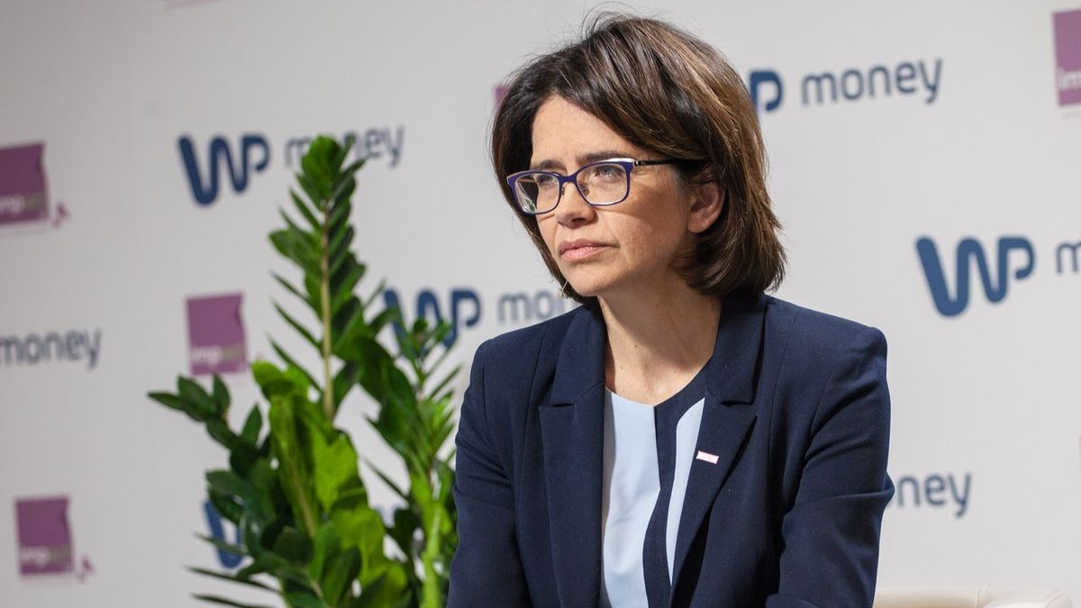 W ciągu kilku dni możemy poznać nazwisko następcy Anny Streżyńskiej.