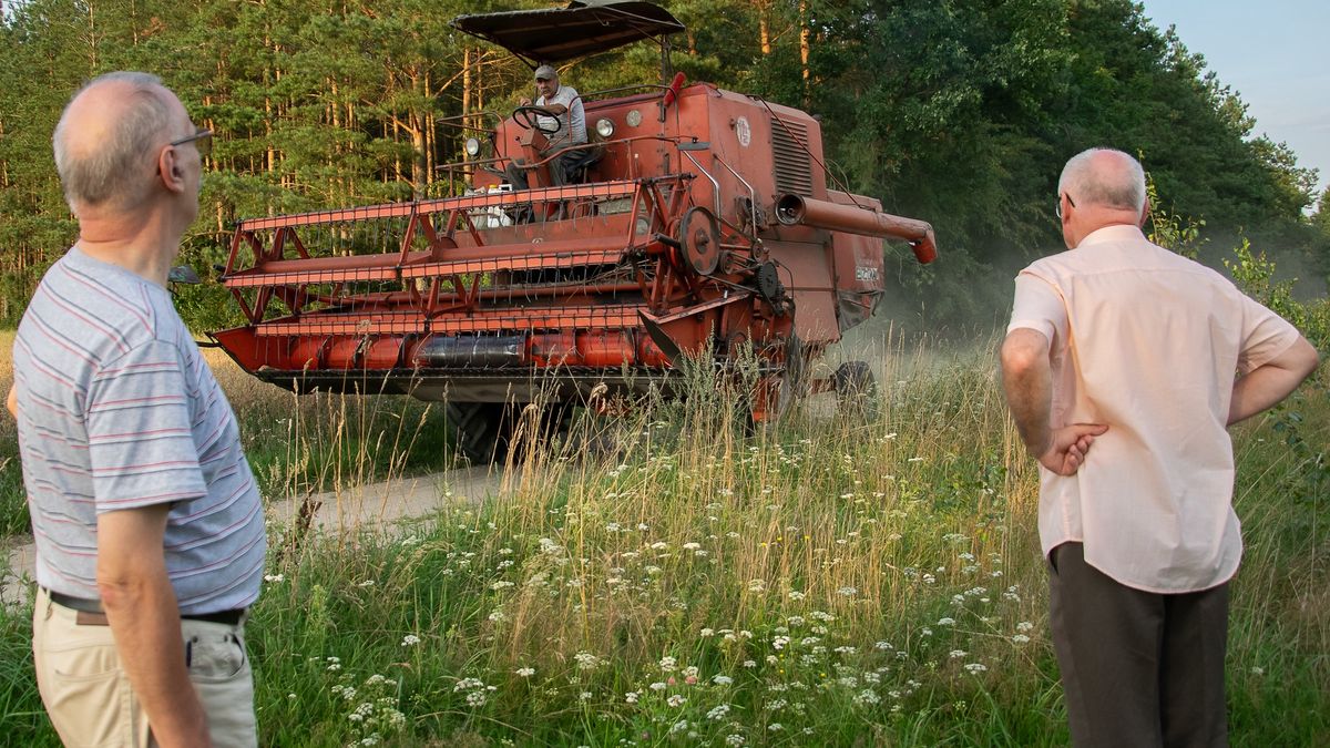 Rolnicy z niepokojem patrzą na tegoroczną suszę.