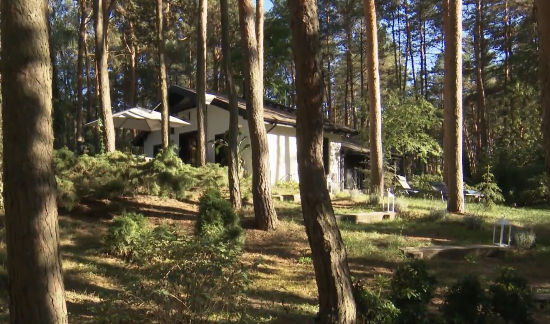 Tak prezentuje się ogród Krzysztofa Mirucia