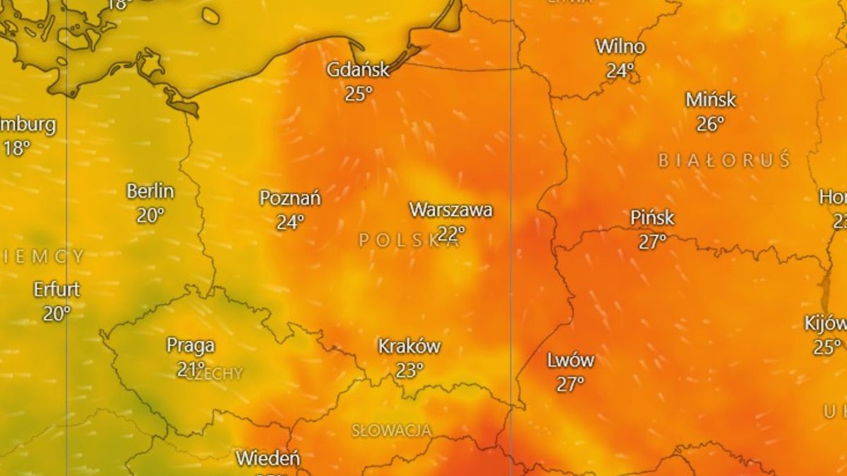 Prognoza pogody - od piątku możliwy powrót upałów