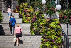 Bielsko-Biała liczy na tytuł najbardziej ukwieconego miasta w Polsce