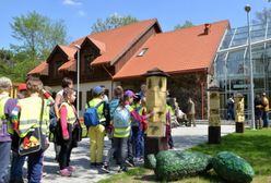 O lesie w lesie – centrum edukacyjne nie tylko dla dzieci