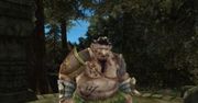 Lord ot the Rings: Online na 360?