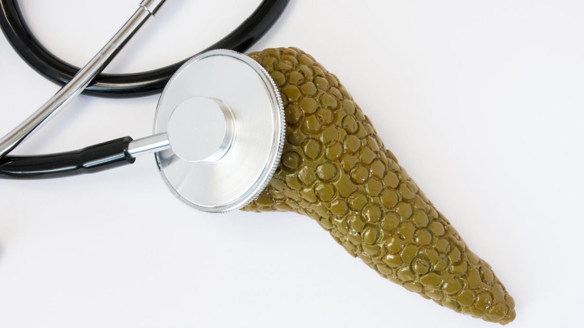 trzustka [123rf.com]