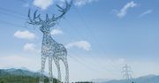 Monumentalne rzeźby ze słupów energetycznych. Przeszły już pierwsze testy
